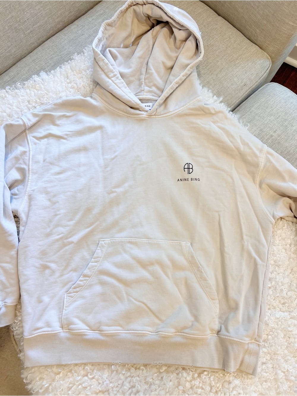 Anine Bing Hooded Sweatshirt in Light Beige